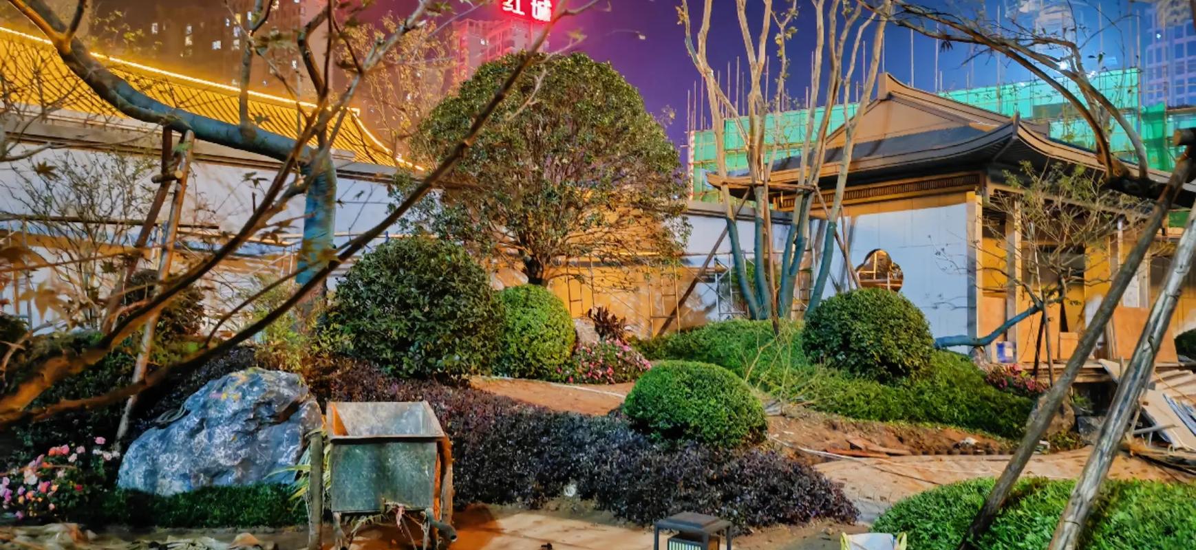 夜色中的綠意 小區角落里涌動著的奮斗之光
