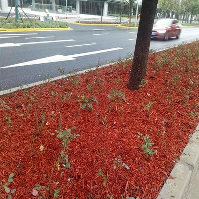 重慶園林綠化染色木屑 工廠直發，美化自然新選擇